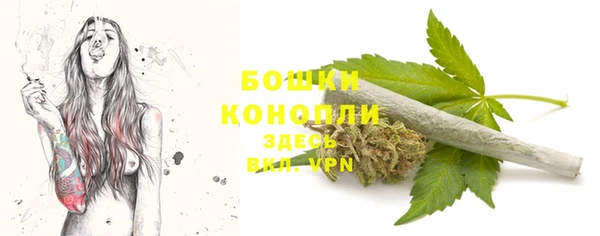 ALPHA PVP Медвежьегорск