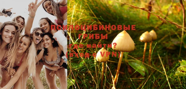 стафф Мегион
